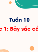 Tuần 10 - Bài đọc 1 Bảy sắc cầu vồng
